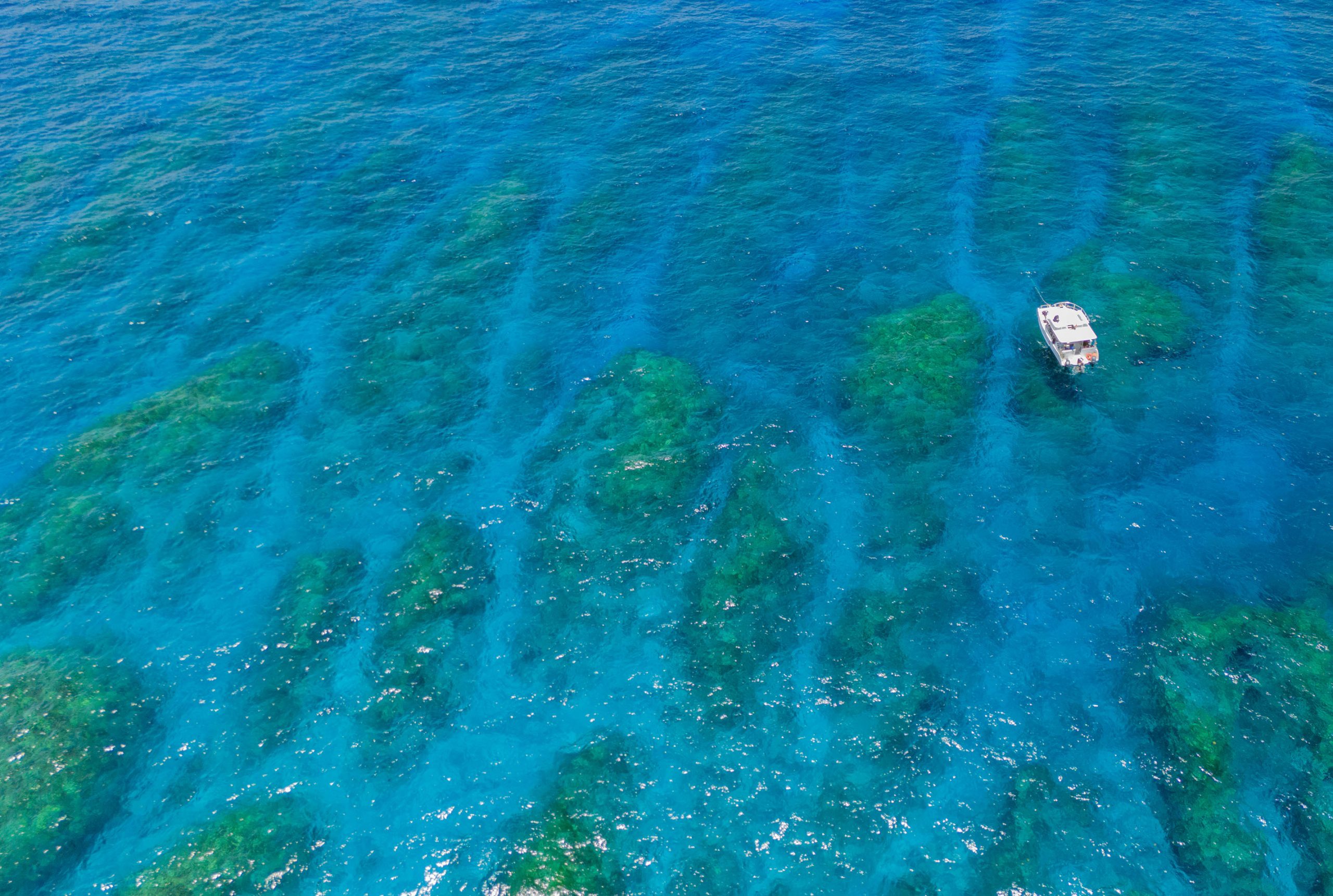 https://www.theshipwrecksurvey.com/wp-content/uploads/2025/08/Salt-Cay-Endymion-aerial-scaled.jpg